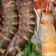 los-mejores-mariscos-de-Galicia