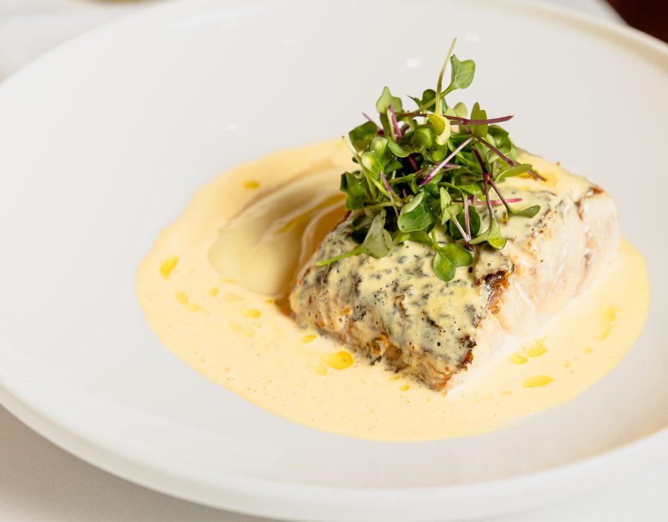 corvina